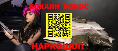 спайс Кингисепп