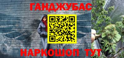 спайс Кингисепп