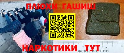 спайс Кингисепп