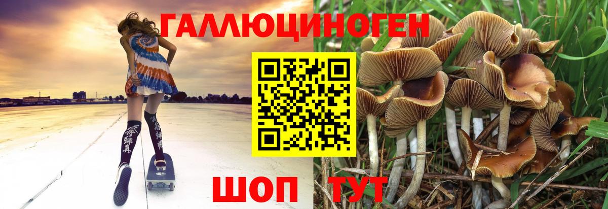 Коркино  Галлюциногенные грибы MAGIC MUSHROOMS  Вход с VPN 